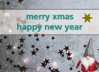 Frohe Weihnachten und ein gutes Neues Jahr 2026